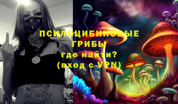 mdma Новодвинск