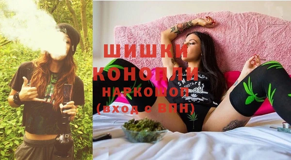 шишки Алексеевка
